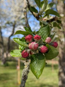 WhatsApp Bild 2025-01-25 um 19.53.58_3739b3e9